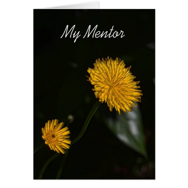 My Mentor (Front)