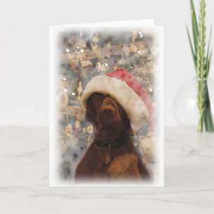 My Merry Christmas Vizsla Holiday Card