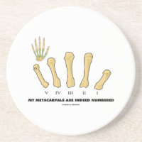 My Metacarpals Are Indeed Numbered (Anatomy)