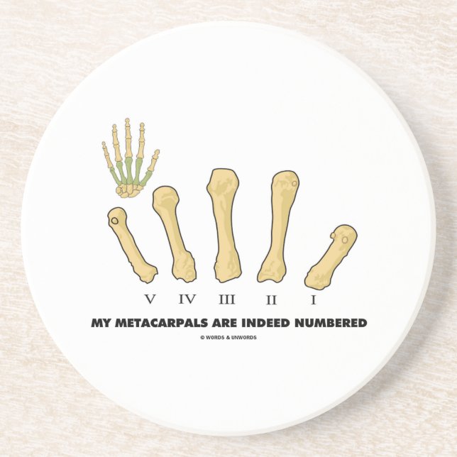 My Metacarpals Are Indeed Numbered (Anatomy) Coaster (Front)