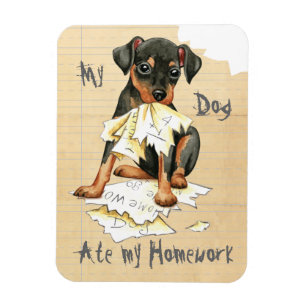 My Min Pin Ate My Homework Magnet
