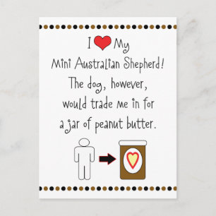 My Mini Australian Shepherd Loves Peanut Butter Postcard