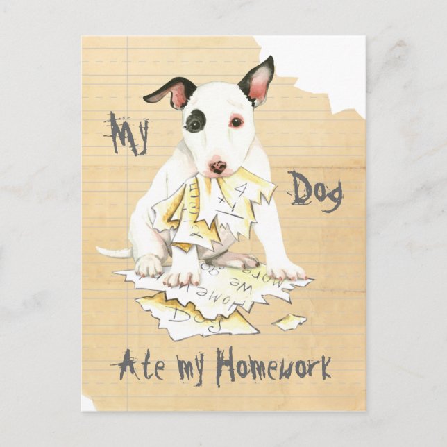 My Miniature Bull Terrier Ate My Homework Postcard (Front)