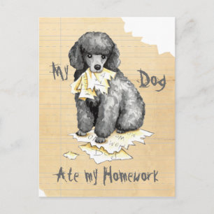 My Miniature Poodle Ate My Homework Postcard