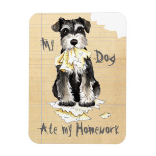 My Miniature Schnauzer Ate My Homework Magnet