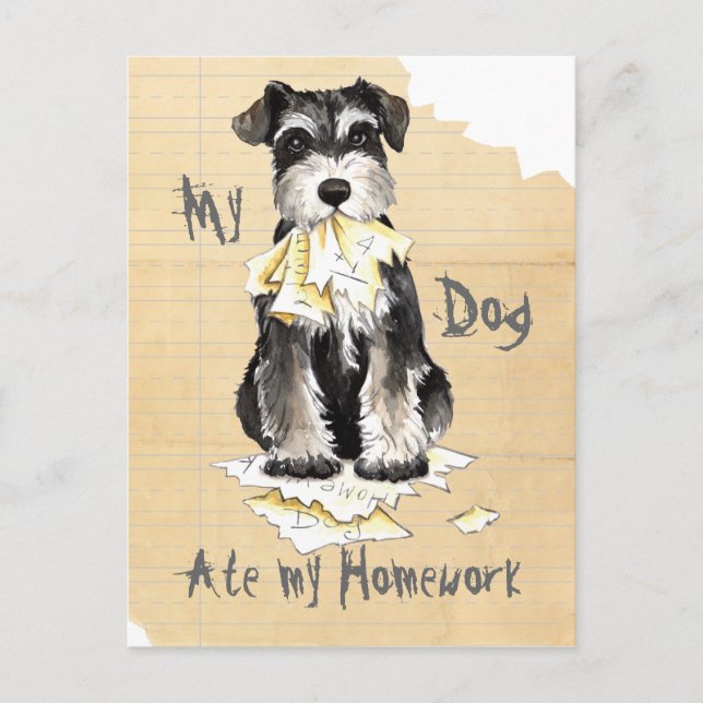 My Miniature Schnauzer Ate My Homework Postcard (Front)