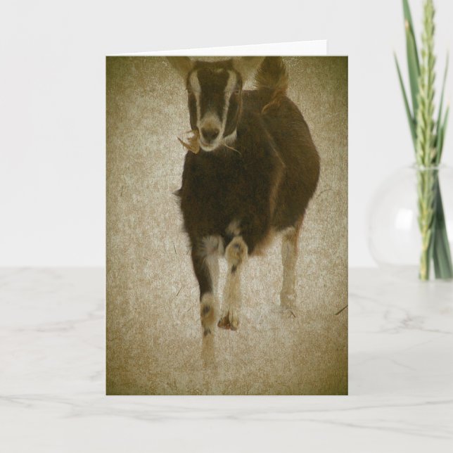 My Misha Card (Front)