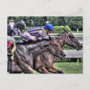 My Miss Aurelia "The Adirondack" Postcard