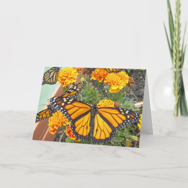 My Monarch Butterflies-greeting cards (Front)