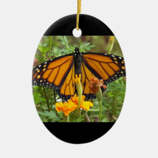 My Monarch Butterfly-oval ornament (Front)