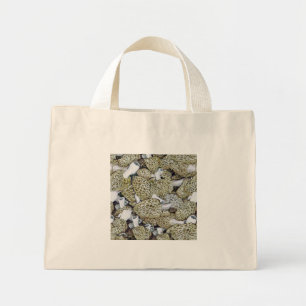 My Morel Bag