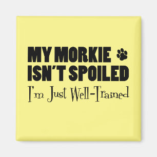 My Morkie Isn't Spoiled I'm Just Well Trained Magnet