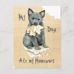 My Mudi Ate My Homework Postcard