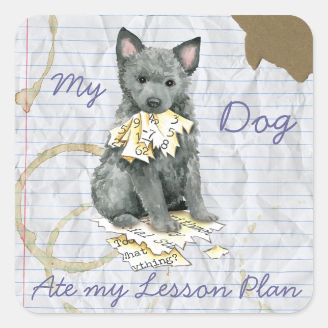 My Mudi Ate My Lesson Plan Square Sticker (Front)