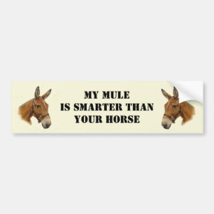 My Mule is Smarter than Your Horse Bumper Sticker