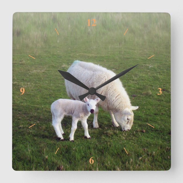 My Name is Obe. Square Wall Clock (Front)