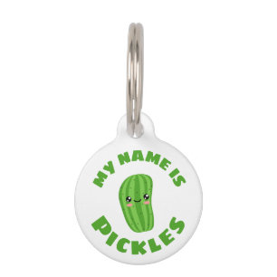 My name is pickles pet tag