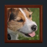 My Name is Skitch Gift Box<br><div class="desc">Parson Jack Russell Terrier Gift Box Custom Gift Box Designs by Janz © 2011 Jan Fitzgerald. All rights reserved. Janz Fine Art Studio features Design, Artwork & Photography by Jan & Michael Fitzgerald. Customise this Design with your choice of font, font colour, text & wording. Please feel free to contact...</div>