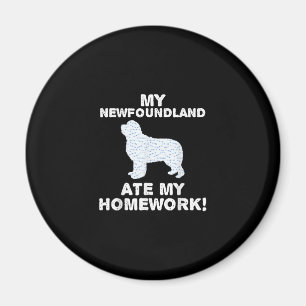My newfoundland ate my homework School Gift Magnet