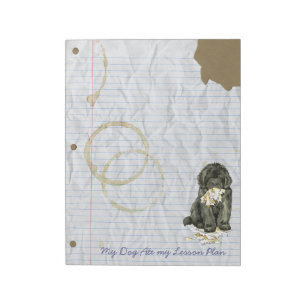 My Newfoundland Ate my Lesson Plan Notepad