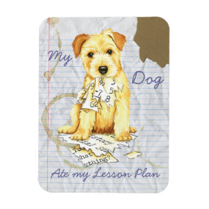My Norfolk Terrier Ate My Lesson Plan Magnet