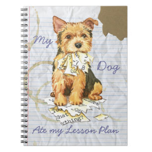 My Norwich Terrier Ate my Lesson Plan Notebook