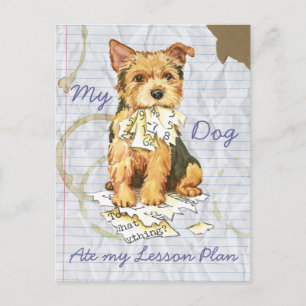 My Norwich Terrier Ate my Lesson Plan Postcard
