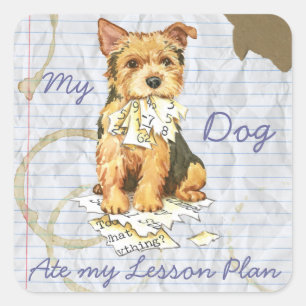 My Norwich Terrier Ate my Lesson Plan Square Sticker