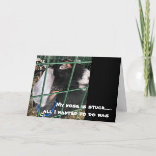 MY NOSE IS STUCK "ALL I WANT IS TO SAY" BIRTHDAY CARD