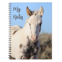My Notes Wild Horse Thora