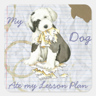 My Old English Sheepdog Ate my Lesson Plan Square Sticker