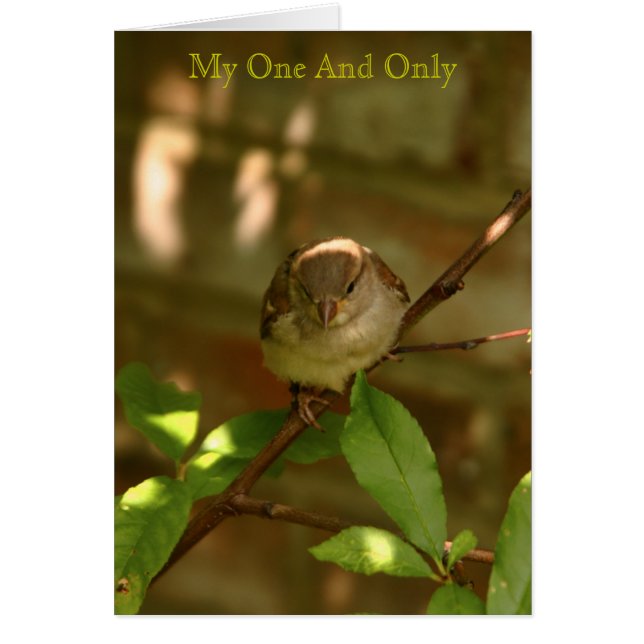 My One And Only (Front)