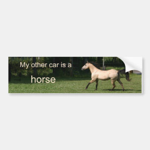 My other car is a horse bumper sticker