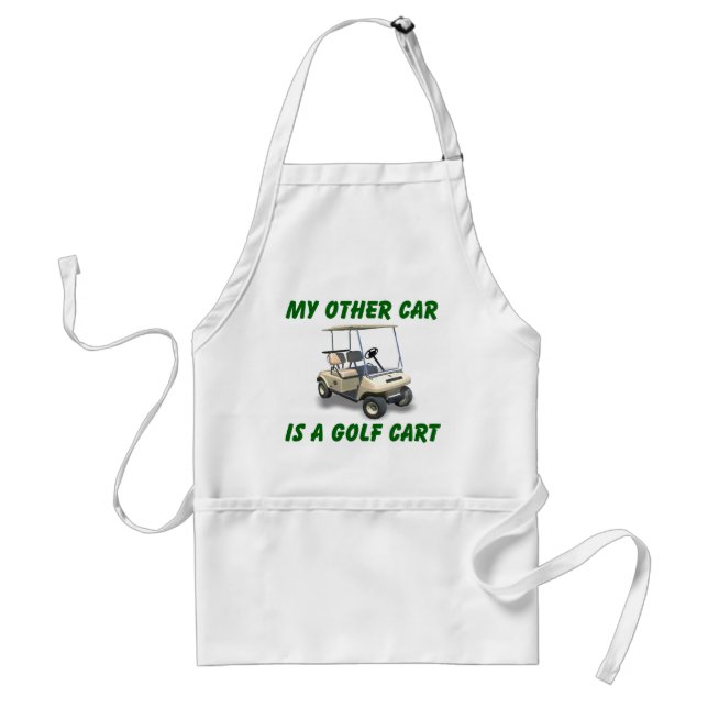My other car standard apron (Front)