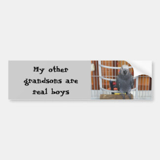 My other grandsons are real boys bumper sticker