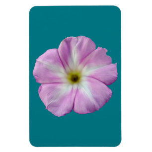 My painting of the lovely flower with an unfriendl magnet