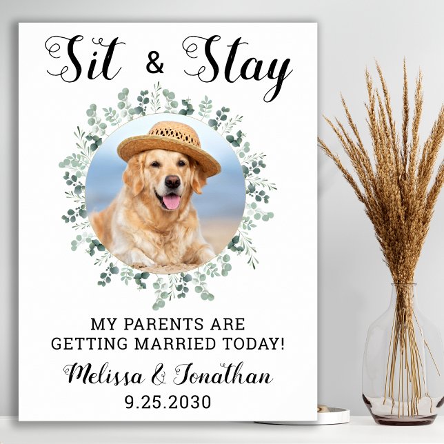 My Parents Are Getting Married Pet Wedding Poster (Creator Uploaded)
