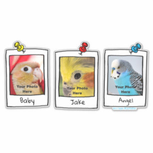 My Pet Birds Retro Custom Photo Collage