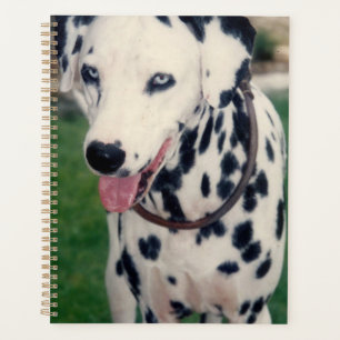 My Pet Friend Bestie Dalmatian Dog Custom Planner