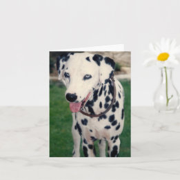 My Pet Friend Custom Photo Card