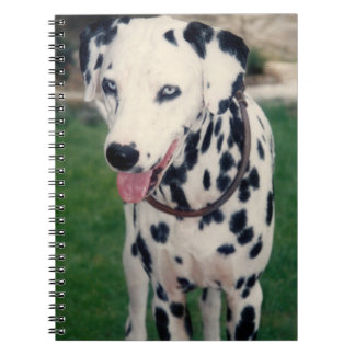 My Pet Friend Dalmatian Dog Custom   Notebook