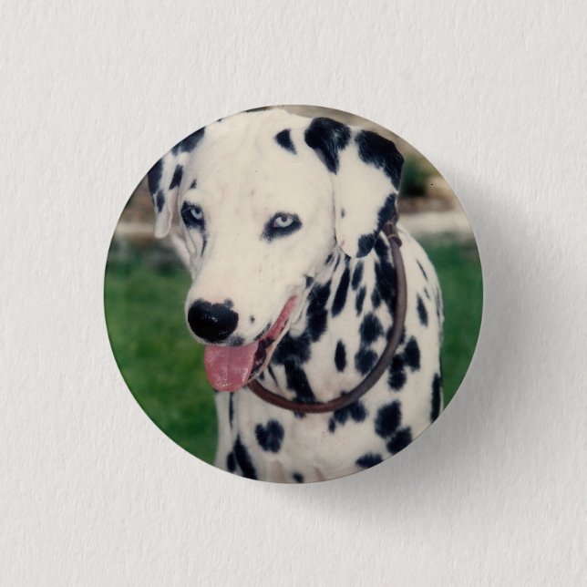 My Pet Friend Upload Your Own Photo Custom  3 Cm Round Badge (Front)