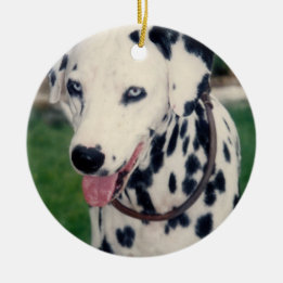 My Pet Friend Upload Your Own Photo Custom  Ceramic Ornament