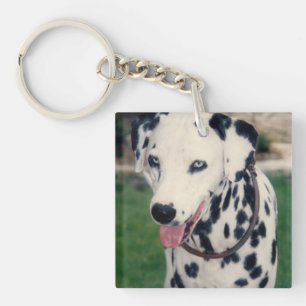 My Pet Friend Upload Your Own Photo Custom  Key Ring