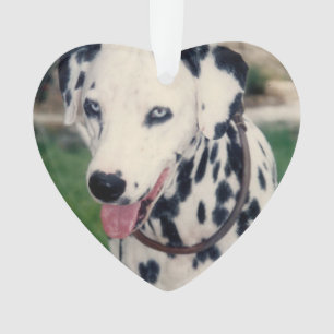 My Pet Friend Upload Your Own Photo Custom  Ornament