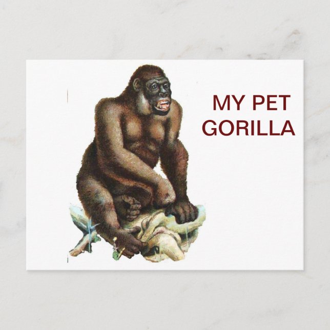 MY PET GORILLA POSTCARD (Front)