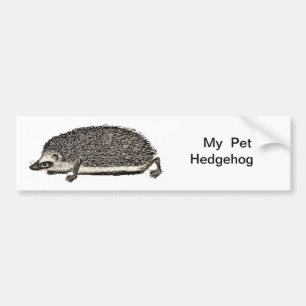 My Pet Hedgehog Bumper Sticker
