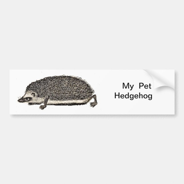 My Pet Hedgehog Bumper Sticker (Front)