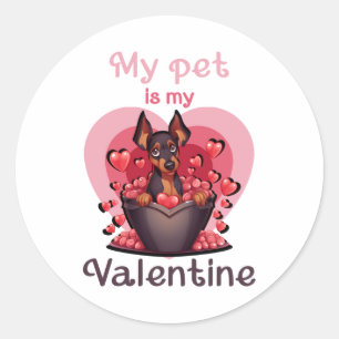 My pet is my Valentine, no 25 Classic T-Shirt Round Sticker