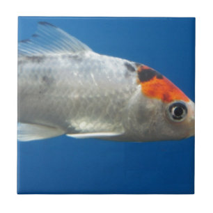 My Pet Koi Fish Ceramic Tile